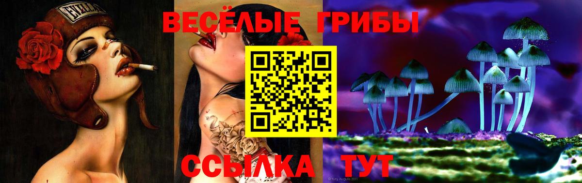 Псилоцибиновые грибы GOLDEN TEACHER Строитель